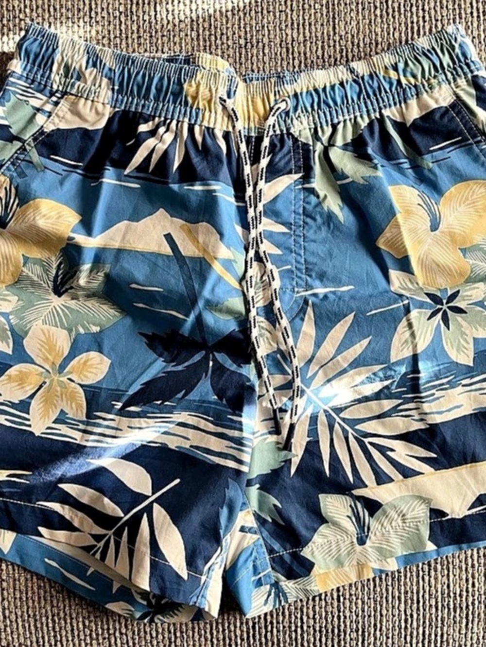 American Eagle Swim Shop Floral Swim Trunks in Blue & Yellow